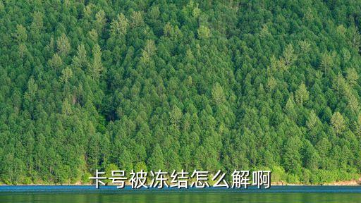 卡號(hào)被凍結(jié)怎么解啊