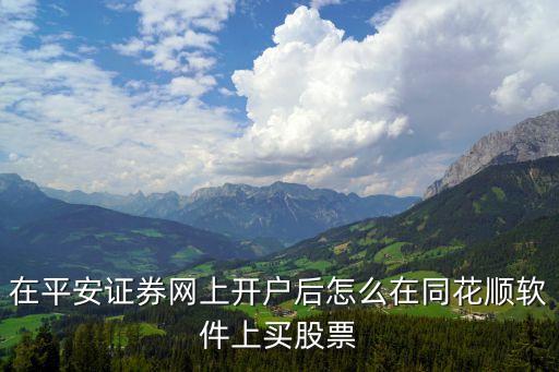 在平安證券網(wǎng)上開戶后怎么在同花順軟件上買股票