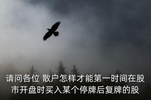請問各位 散戶怎樣才能第一時間在股市開盤時買入某個停牌后復(fù)牌的股