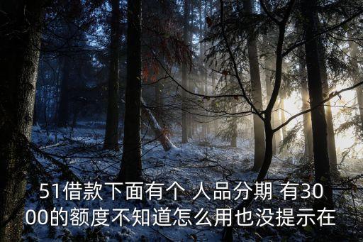 51借款下面有個 人品分期 有3000的額度不知道怎么用也沒提示在