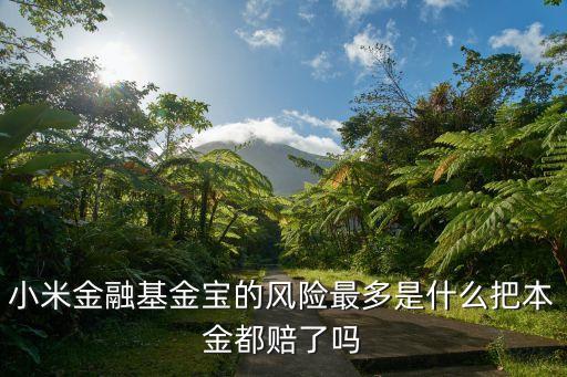 小米金融基金寶的風(fēng)險(xiǎn)最多是什么把本金都賠了嗎