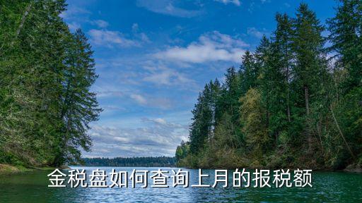 金稅盤如何查詢上月的報稅額