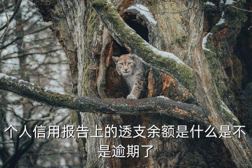 信用報(bào)告 余額300 怎么理解，個(gè)人信用報(bào)告上的透支余額是什么是不是逾期了