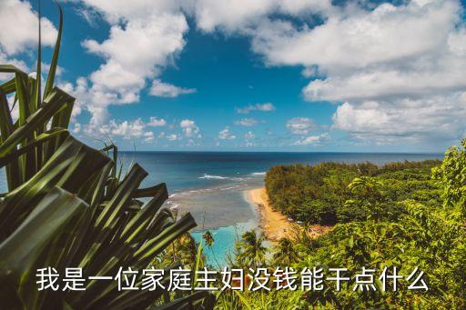 家庭主婦沒錢怎么辦，想在家當(dāng)個(gè)家庭主婦可沒經(jīng)濟(jì)來源的我該怎么辦