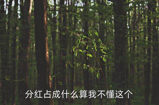分紅占成什么算我不懂這個(gè)