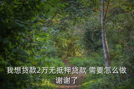 我想貸款2萬無抵押貸款 需要怎么做謝謝了