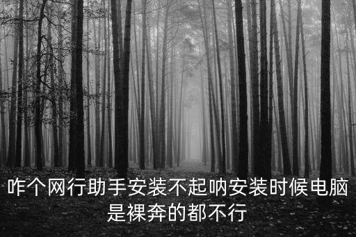 怎么安裝行助手，咋個網(wǎng)行助手安裝不起吶安裝時候電腦是裸奔的都不行