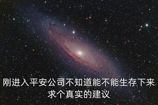 剛進入平安公司不知道能不能生存下來求個真實的建議