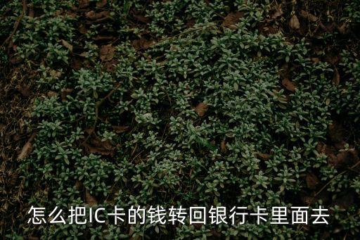 怎么把IC卡的錢轉回銀行卡里面去