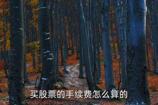 買(mǎi)股票的手續(xù)費(fèi)怎么算的