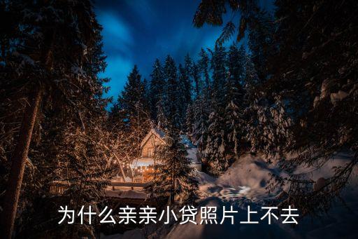 為什么親親小貸照片上不去