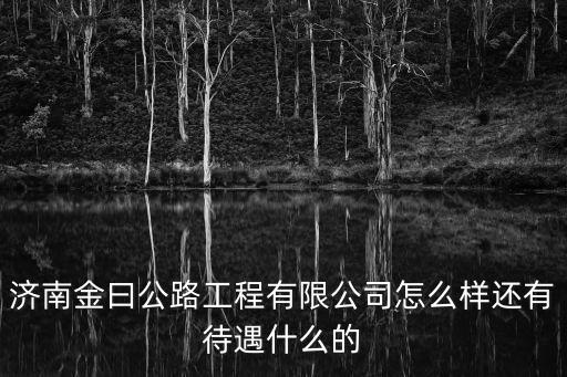 嘉實(shí)美國(guó)成長(zhǎng)怎么樣，590008有的人說(shuō)好建議買(mǎi)有的建議謹(jǐn)慎選擇這只基金到底怎么
