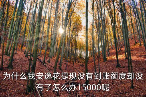 為什么我安逸花提現(xiàn)沒(méi)有到賬額度卻沒(méi)有了怎么辦15000呢