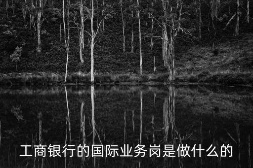 工商銀行國際業(yè)務(wù)怎么樣，工商銀行的國際業(yè)務(wù)崗是做什么的