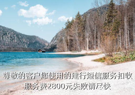 建行短信服務費怎么補交，尊敬的客戶您使用的建行短信服務扣收服務費2800元失敗請盡快