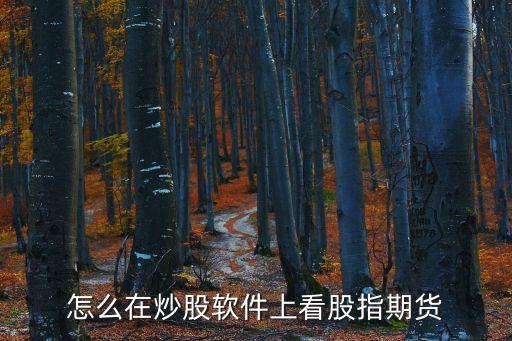 怎么在炒股軟件上看股指期貨