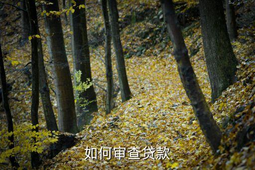 如何審查貸款