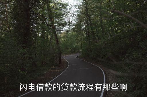 閃電借款怎么申請，招商銀行的閃電貸 是怎么辦理的