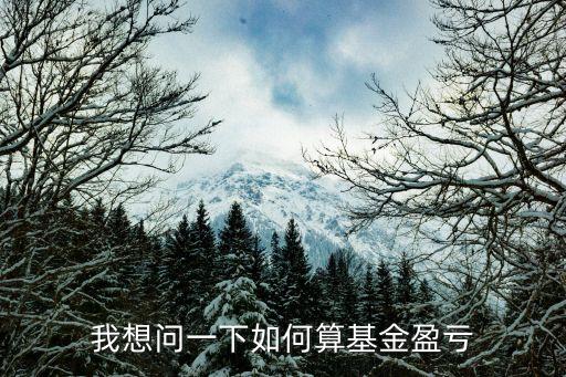 我想問一下如何算基金盈虧