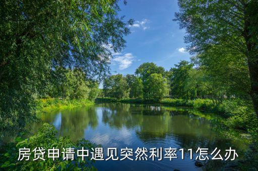 貸款中突然降息怎么辦，14貸款年買房子利息下降了怎么辦