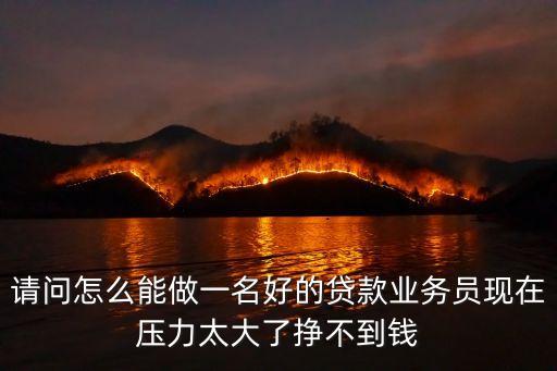 請問怎么能做一名好的貸款業(yè)務(wù)員現(xiàn)在壓力太大了掙不到錢