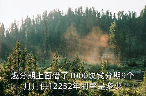 趣分期上面借了1000塊錢分期9個月月供12252年利率是多少