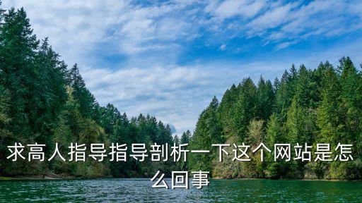 求高人指導(dǎo)指導(dǎo)剖析一下這個(gè)網(wǎng)站是怎么回事