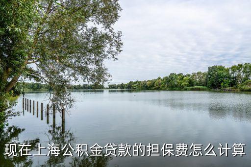 現(xiàn)在上海公積金貸款的擔(dān)保費怎么計算