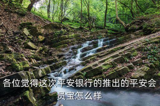 各位覺得這次平安銀行的推出的平安會員寶怎么樣