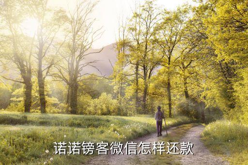 諾諾鎊客微信怎樣還款
