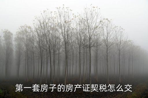 第一套房子的房產(chǎn)證契稅怎么交