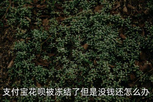 沒錢還花唄怎么辦，如果欠支付寶花唄 沒還怎么辦