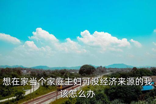 想在家當個家庭主婦可沒經(jīng)濟來源的我該怎么辦