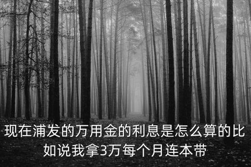 現(xiàn)在浦發(fā)的萬(wàn)用金的利息是怎么算的比如說(shuō)我拿3萬(wàn)每個(gè)月連本帶