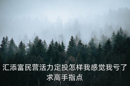 470009民營(yíng)活力怎么樣，添富民營(yíng)活力股票470009前景如何