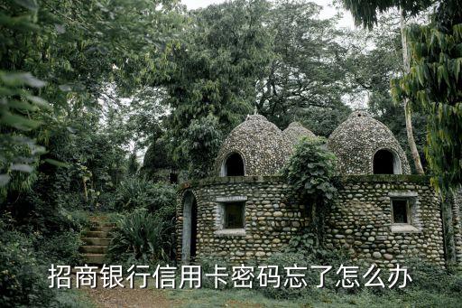 招行信用卡不知道密碼怎么修改，招商銀行信用卡查詢密碼怎么修改