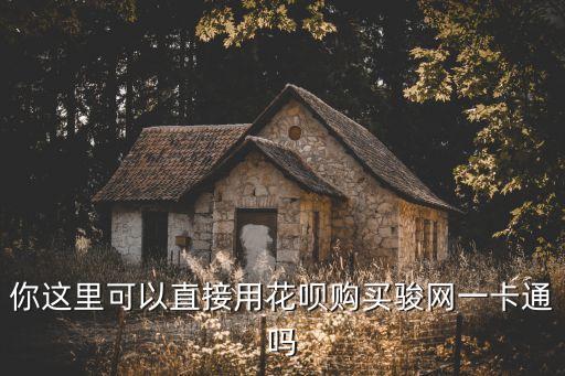 你這里可以直接用花唄購買駿網(wǎng)一卡通嗎