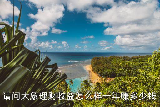 請問大象理財收益怎么樣一年賺多少錢