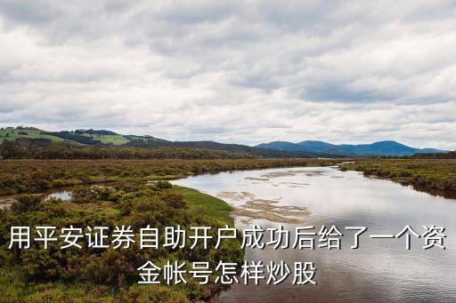 用平安證券自助開戶成功后給了一個資金帳號怎樣炒股