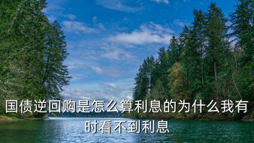 國(guó)債逆回購(gòu)是怎么算利息的為什么我有時(shí)看不到利息