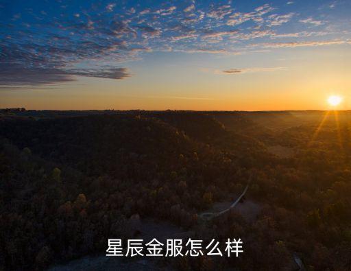 星辰金服怎么樣