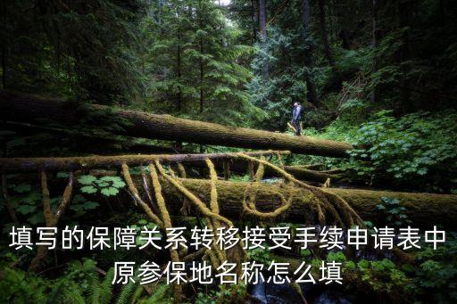 填寫的保障關(guān)系轉(zhuǎn)移接受手續(xù)申請表中原參保地名稱怎么填