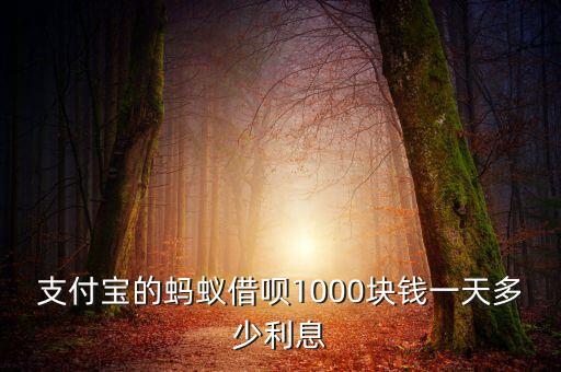 支付寶的螞蟻借唄1000塊錢一天多少利息