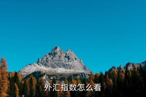怎么看匯率表，iPhone如何即時查看人民幣匯率