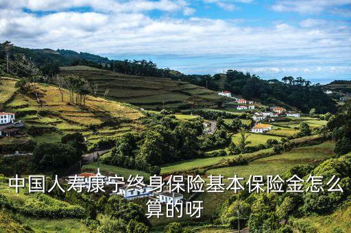 康寧終身分紅怎么算，中國(guó)康寧保險(xiǎn)分紅多少