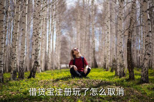 注冊(cè)了借貸寶怎么取消，借貸寶怎么取消注冊(cè)