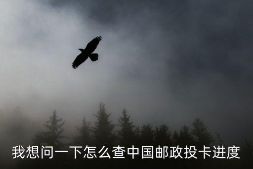 我想問(wèn)一下怎么查中國(guó)郵政投卡進(jìn)度