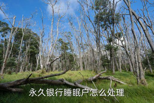 銀行睡眠戶(hù)怎么處理，永久銀行睡眠戶(hù)怎么處理