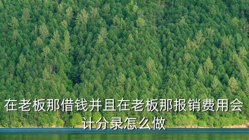 在老板那借錢(qián)并且在老板那報(bào)銷(xiāo)費(fèi)用會(huì)計(jì)分錄怎么做