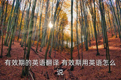 有效期的英語翻譯 有效期用英語怎么說